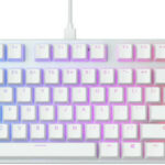 Glorious GMMK TKL White Ice Edition GLO-GMMK-TKL-BRN-W  Anweisungen Handbuch