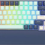 Royal Kludge RK96 RGB brown switch blue  Anweisungen Handbuch