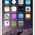 Apple iPhone 6 32GB  Anweisungen Handbuch