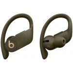 Beats by Dr. Dre Powerbeats Pro  Anweisungen Handbuch