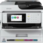 Epson WorkForce Pro WF-C5890DWF  Anweisungen Handbuch